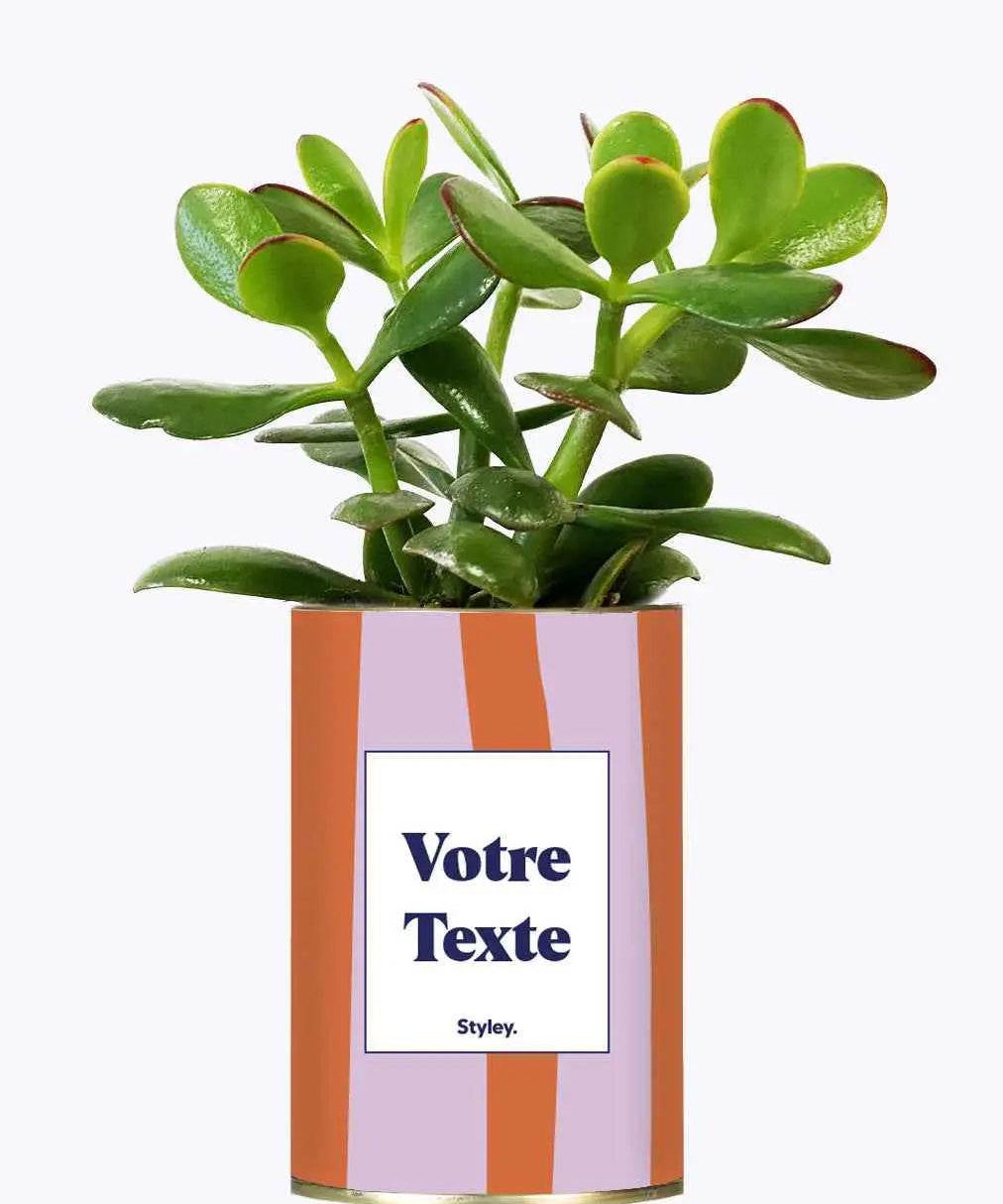 Capri - Personnalisable