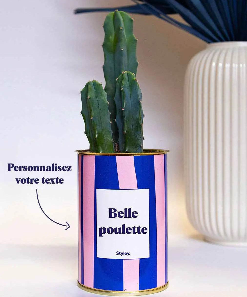 Cactus Parme - Personnalisable