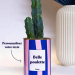 Cactus Parme - Plante Personnalisable Cactus varié