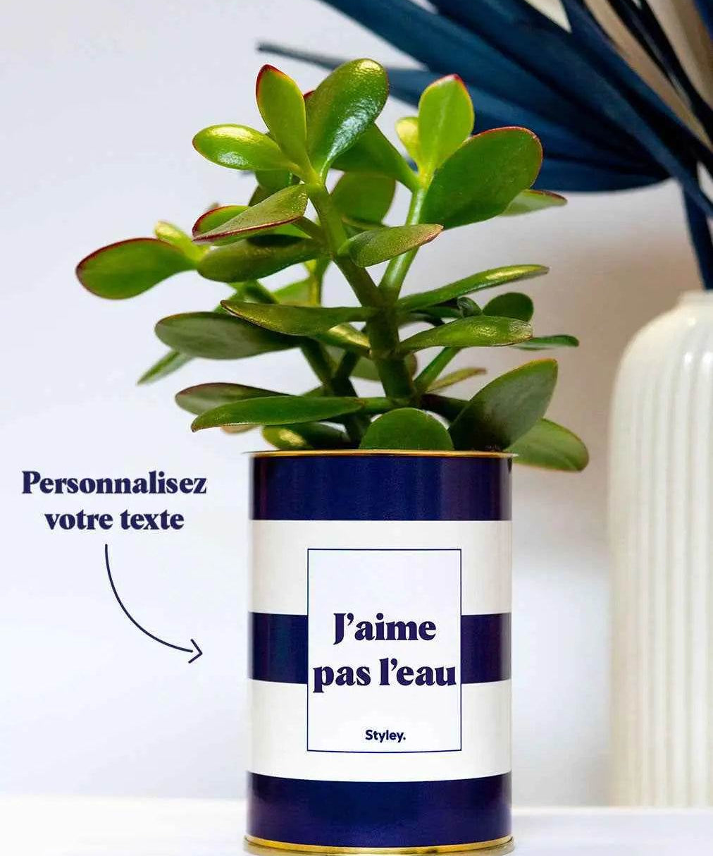 Cactus Cannes - Personnalisable