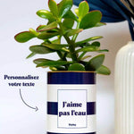 Cactus Cannes - Plante Personnalisable Crassula varié
