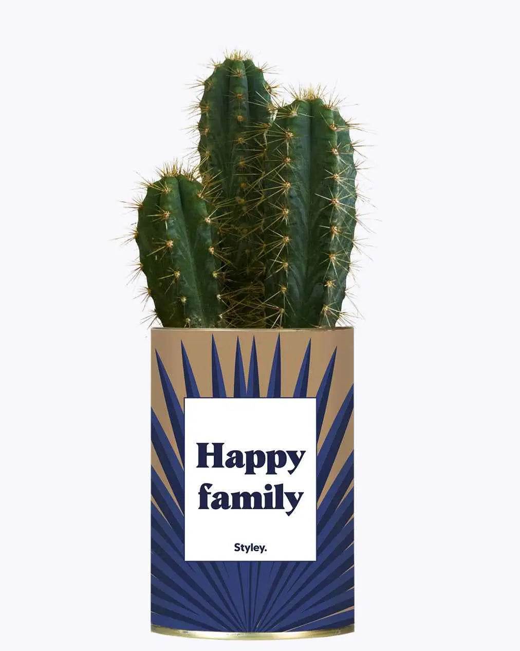 Happy family - Plante Cactus varié