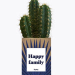 Happy family - Plante Cactus varié