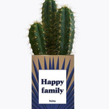 Happy family - Plante Cactus varié