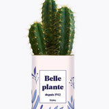 Belle plante personnalisable - Plante Cactus varié