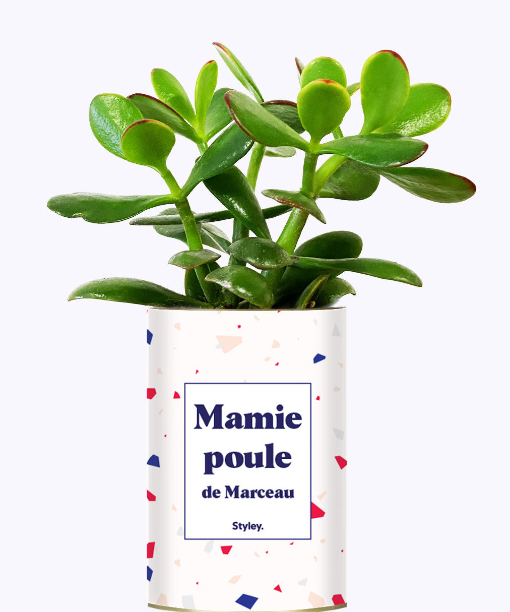Mamie poule personnalisable  - Cactus