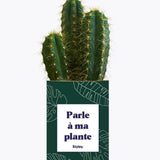 Parle à ma plante - Plante Cactus varié