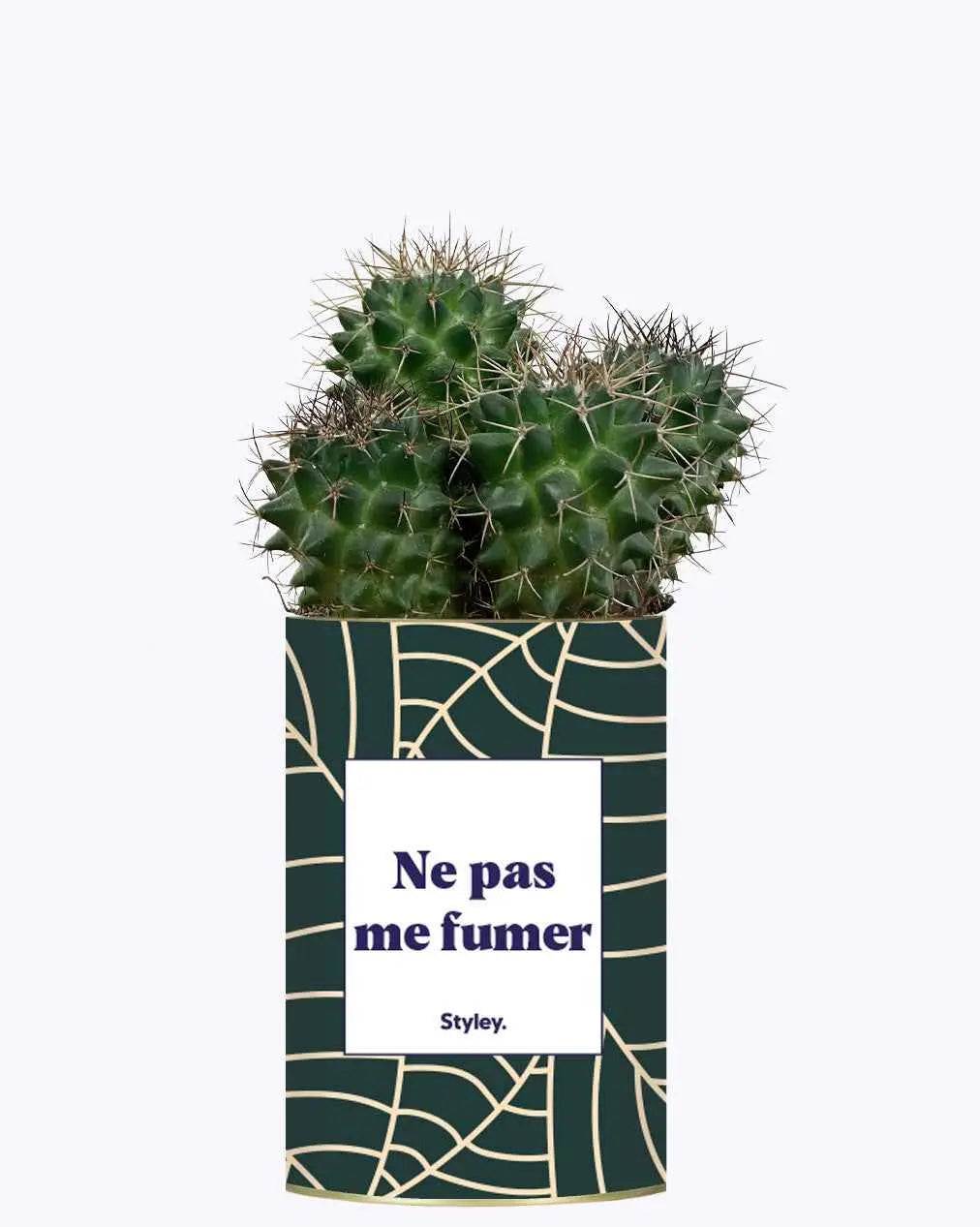 Ne pas me fumer - Plante Cactus varié