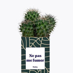 Ne pas me fumer - Plante Cactus varié