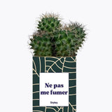 Ne pas me fumer - Plante Cactus varié