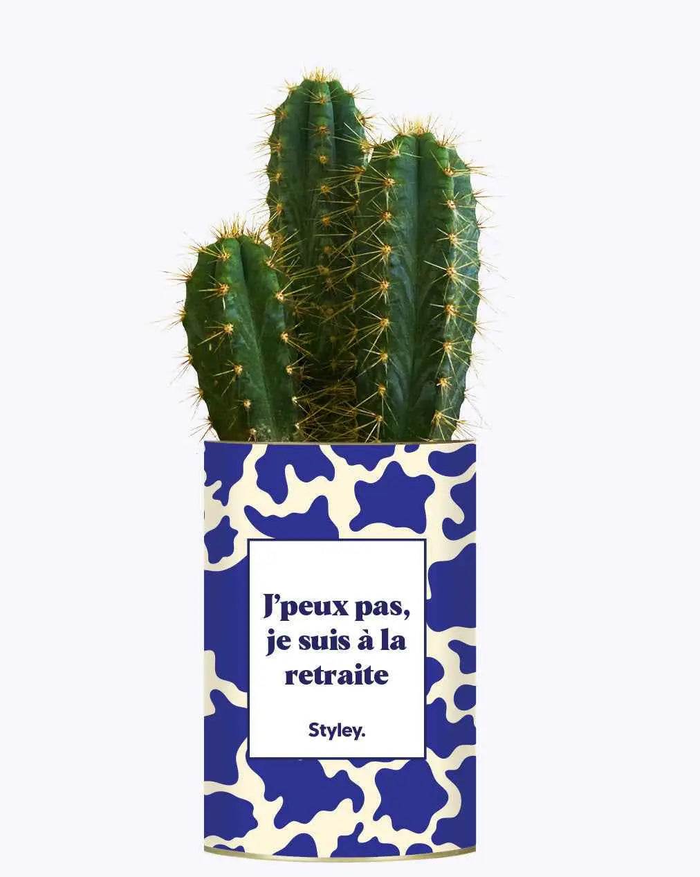 J'peux pas, je suis à la retraite - Plante Cactus varié