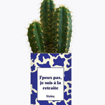 J'peux pas, je suis à la retraite - Plante Cactus varié