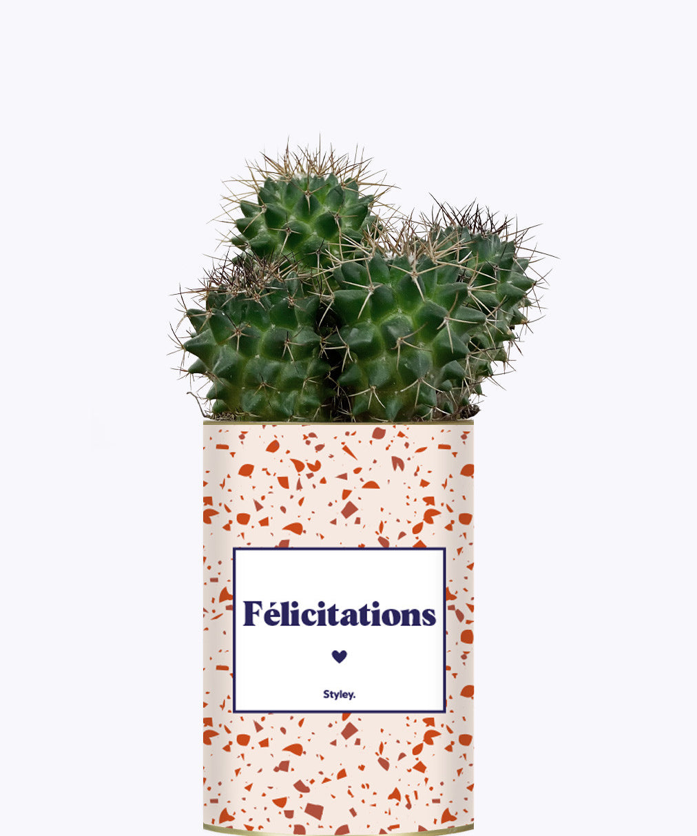 Félicitations - Cactus