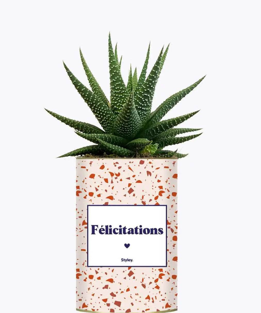 Félicitations - Plante
