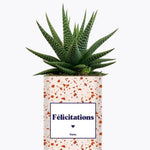Félicitations - Plante