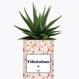 Félicitations - Plante