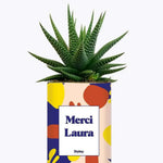 Cactus Josiane - Plante Personnalisable Haworthia varié