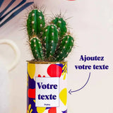 Cactus Josiane - Plante Personnalisable Cactus varié
