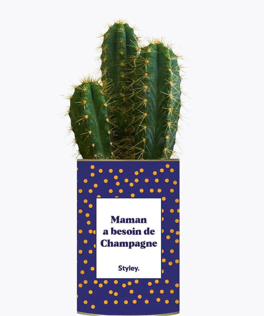 Maman a besoin de champagne - Plante Cactus varié