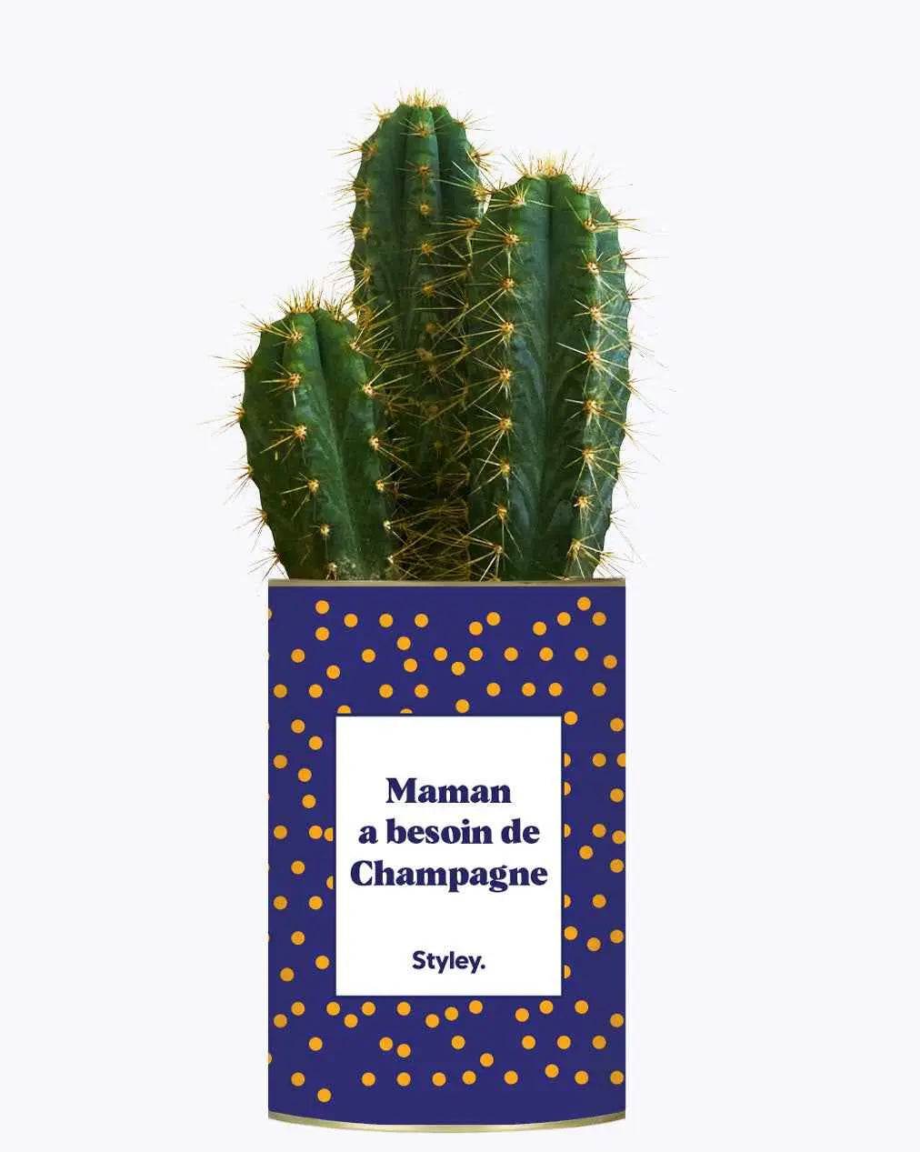 Maman a besoin de champagne - Plante Cactus varié