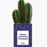Maman a besoin de champagne - Plante Cactus varié