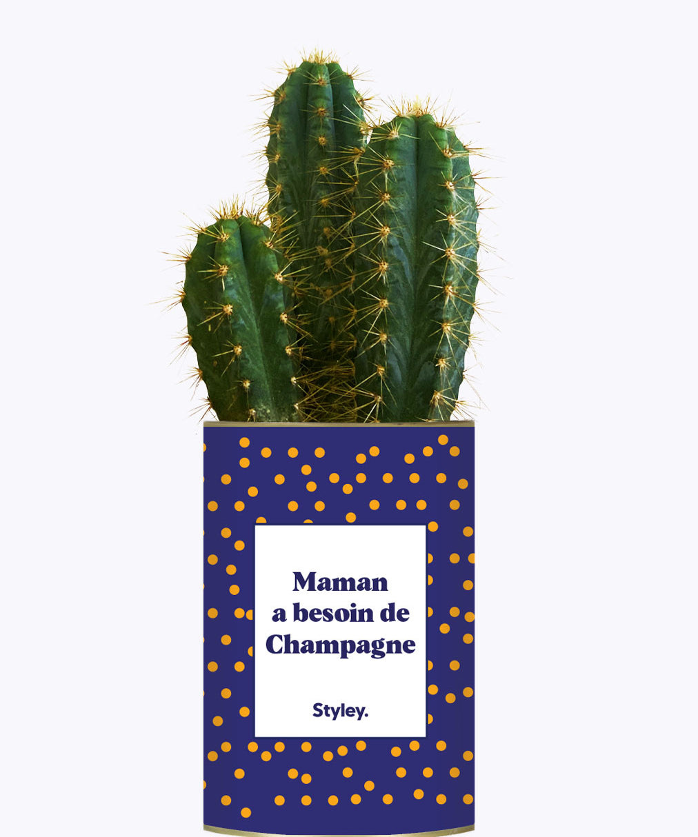Maman a besoin de champagne - Cactus