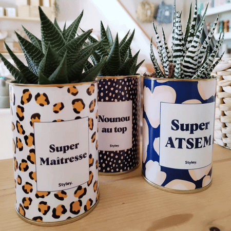 Nounou au top - Plante