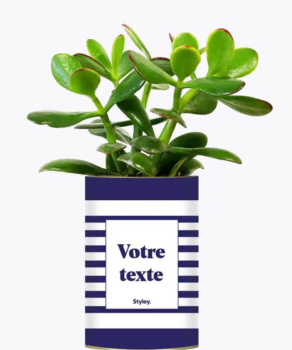 Cactus Marin - Personnalisable