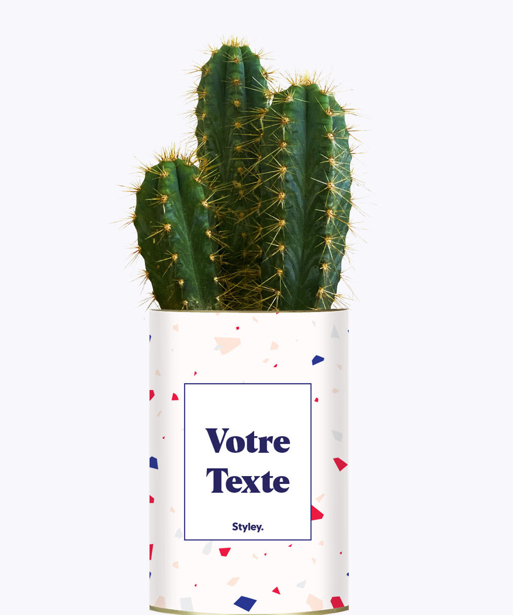 Cactus Terrazzo - Personnalisable