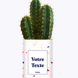 Cactus Terrazzo - Personnalisable