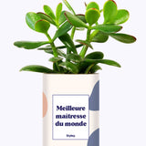 Meilleure maîtresse du monde - Cactus