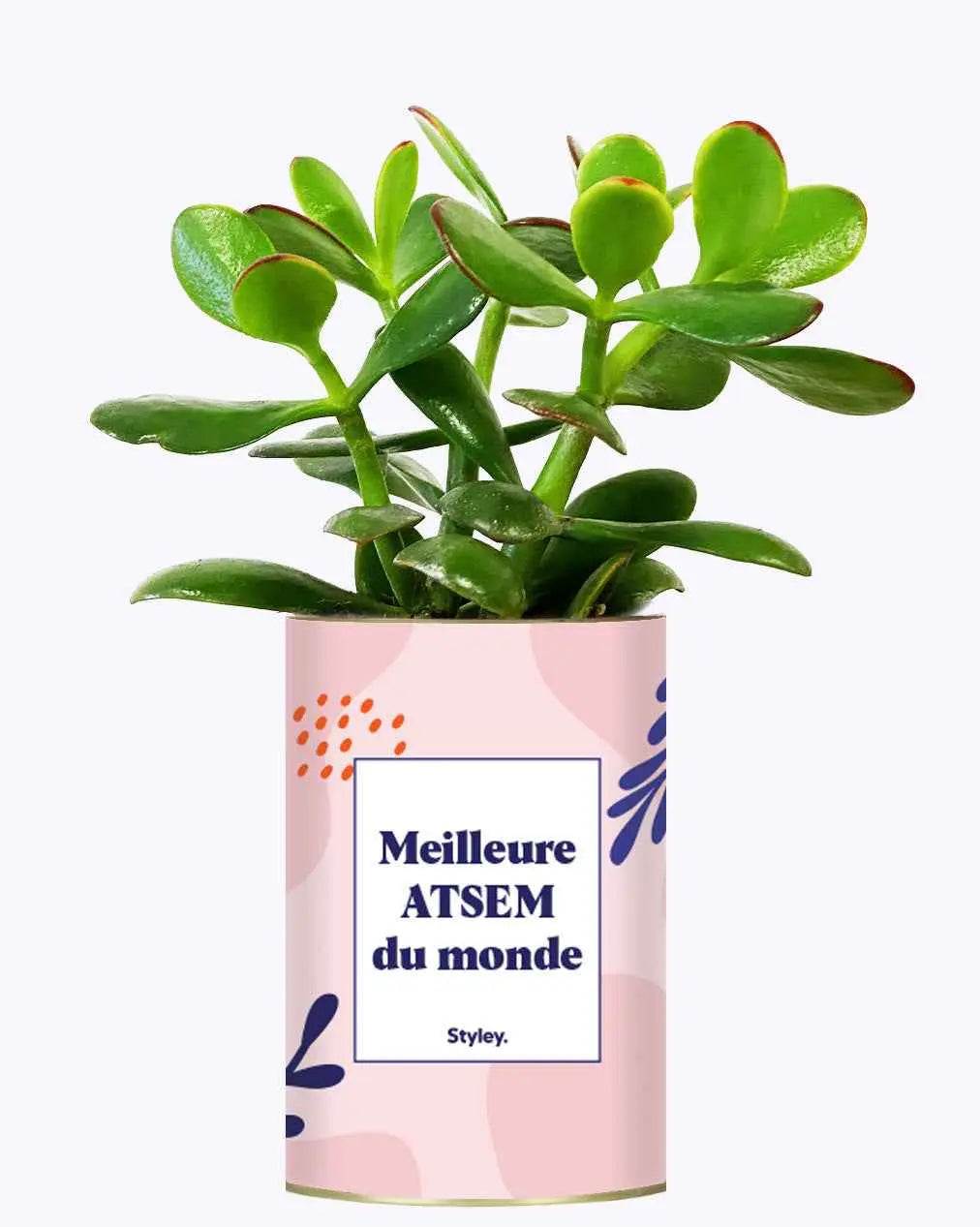 Meilleure ATSEM du monde - Plante Crassula varié