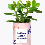 Meilleure ATSEM du monde - Plante Crassula varié