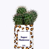 Super Maîtresse - Cactus