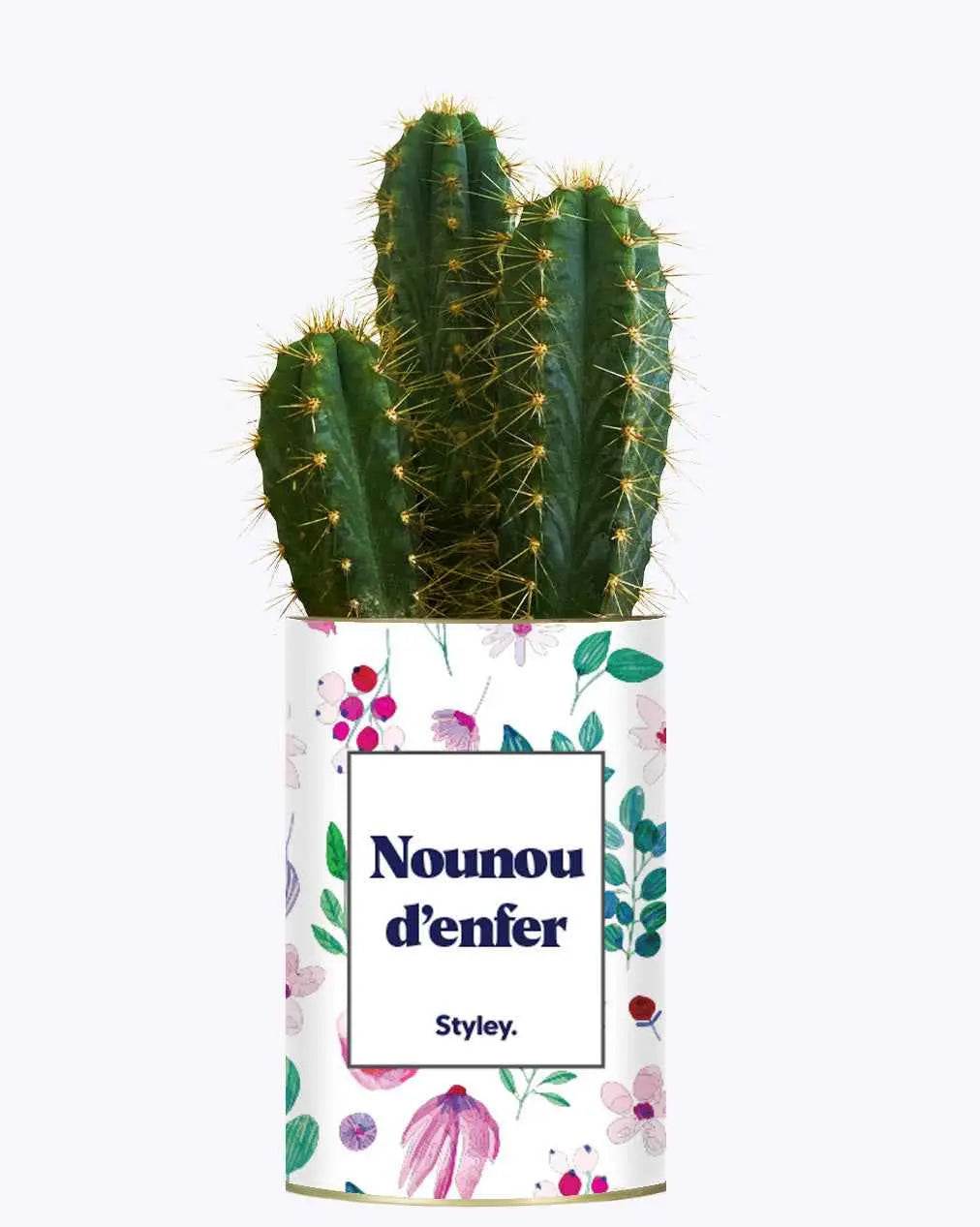 Nounou d'enfer - Plante Cactus varié