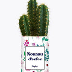 Nounou d'enfer - Plante Cactus varié