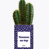 Nounou au top - Plante Cactus varié
