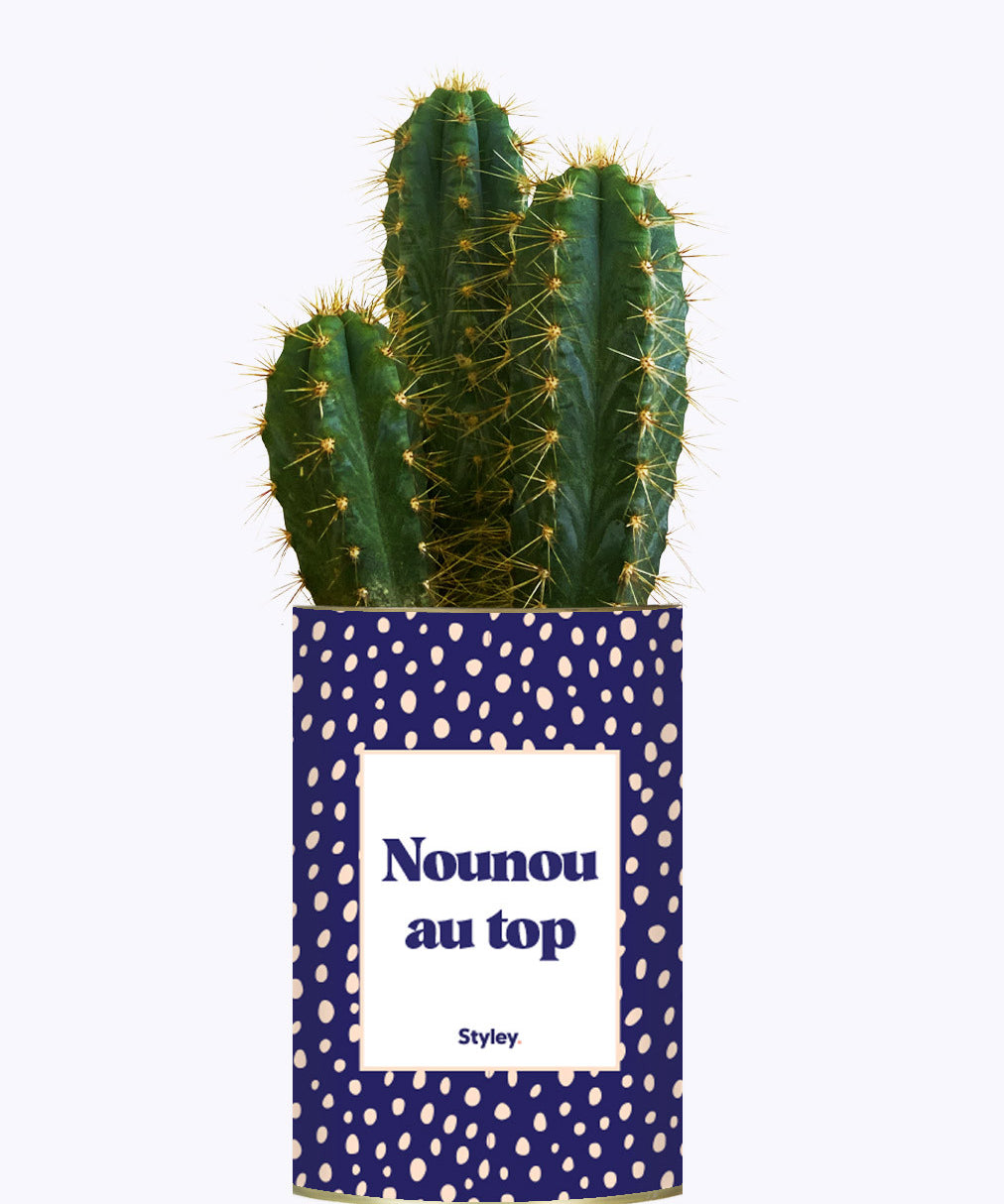 Nounou au top - Cactus