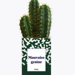 Mauvaise Graine - Plante Cactus varié