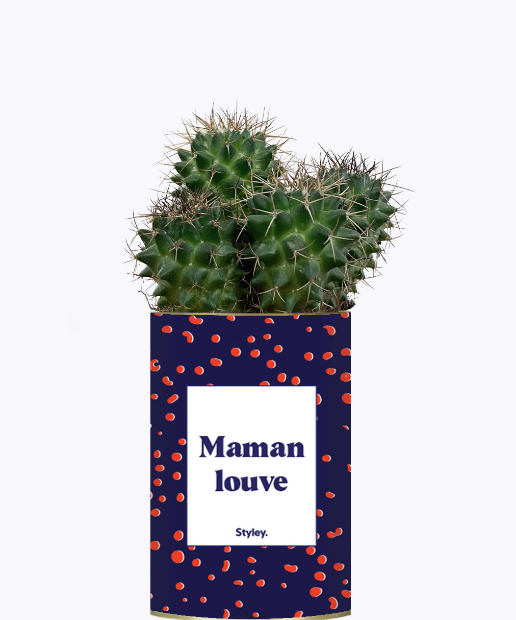 Maman louve - Cactus