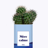 Mère calme - Cactus