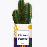 Flower Power - Plante Cactus varié