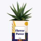 Flower Power - Cactus