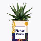 Flower Power - Plante