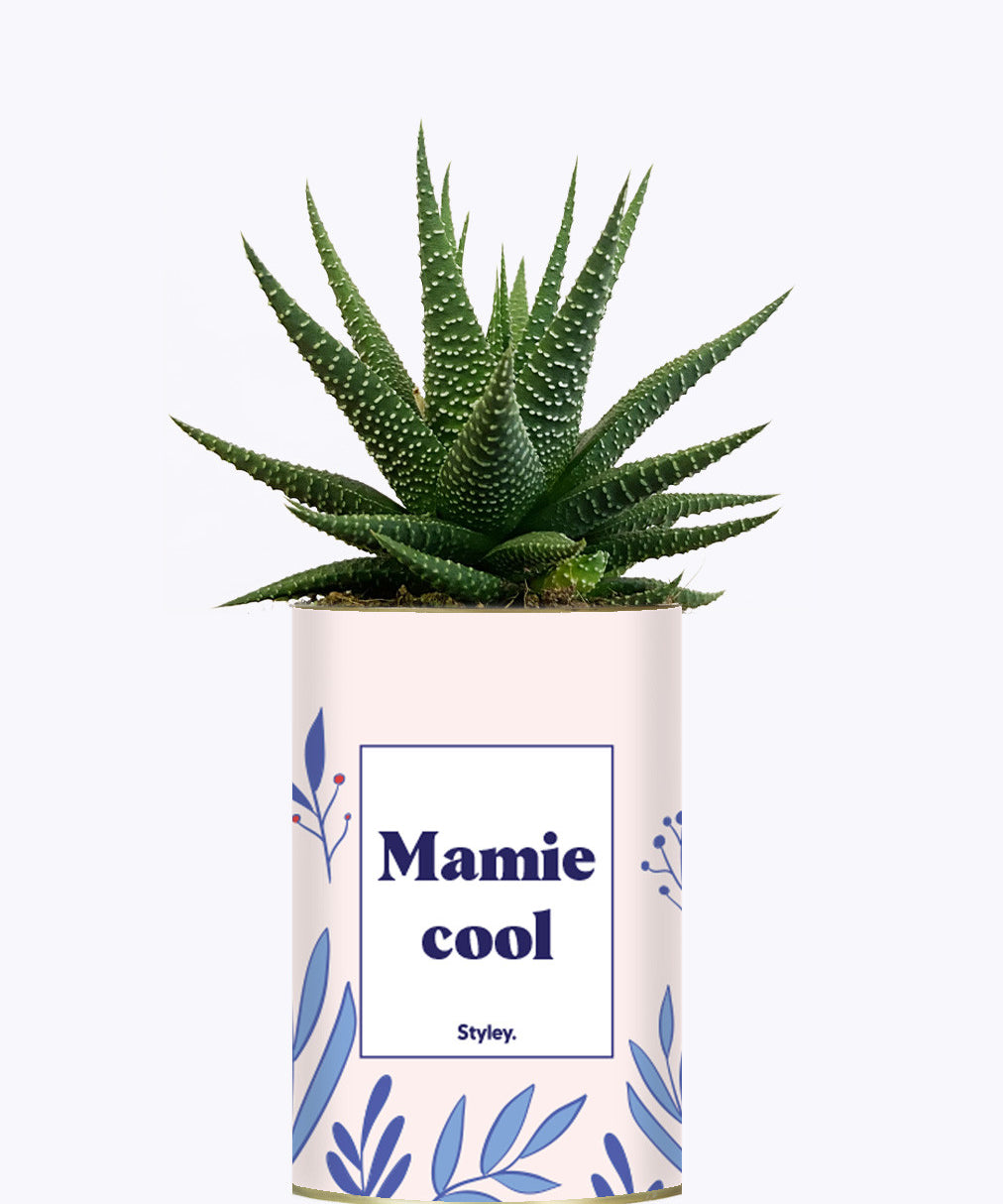 Mamie cool - Cactus