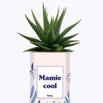 Mamie cool - Cactus