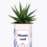 Mamie cool - Cactus
