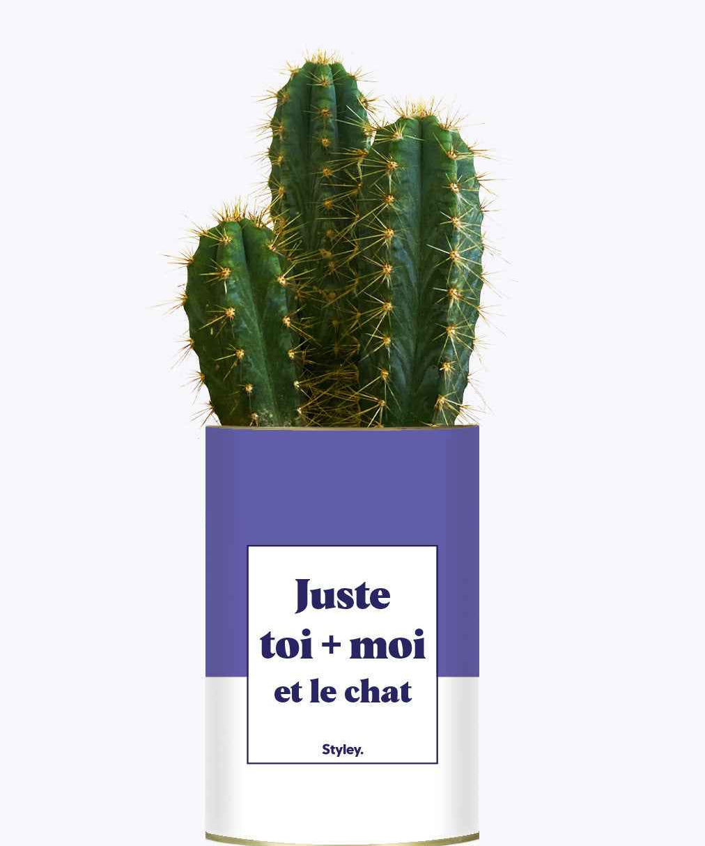 Toi + moi et le chat - Cactus