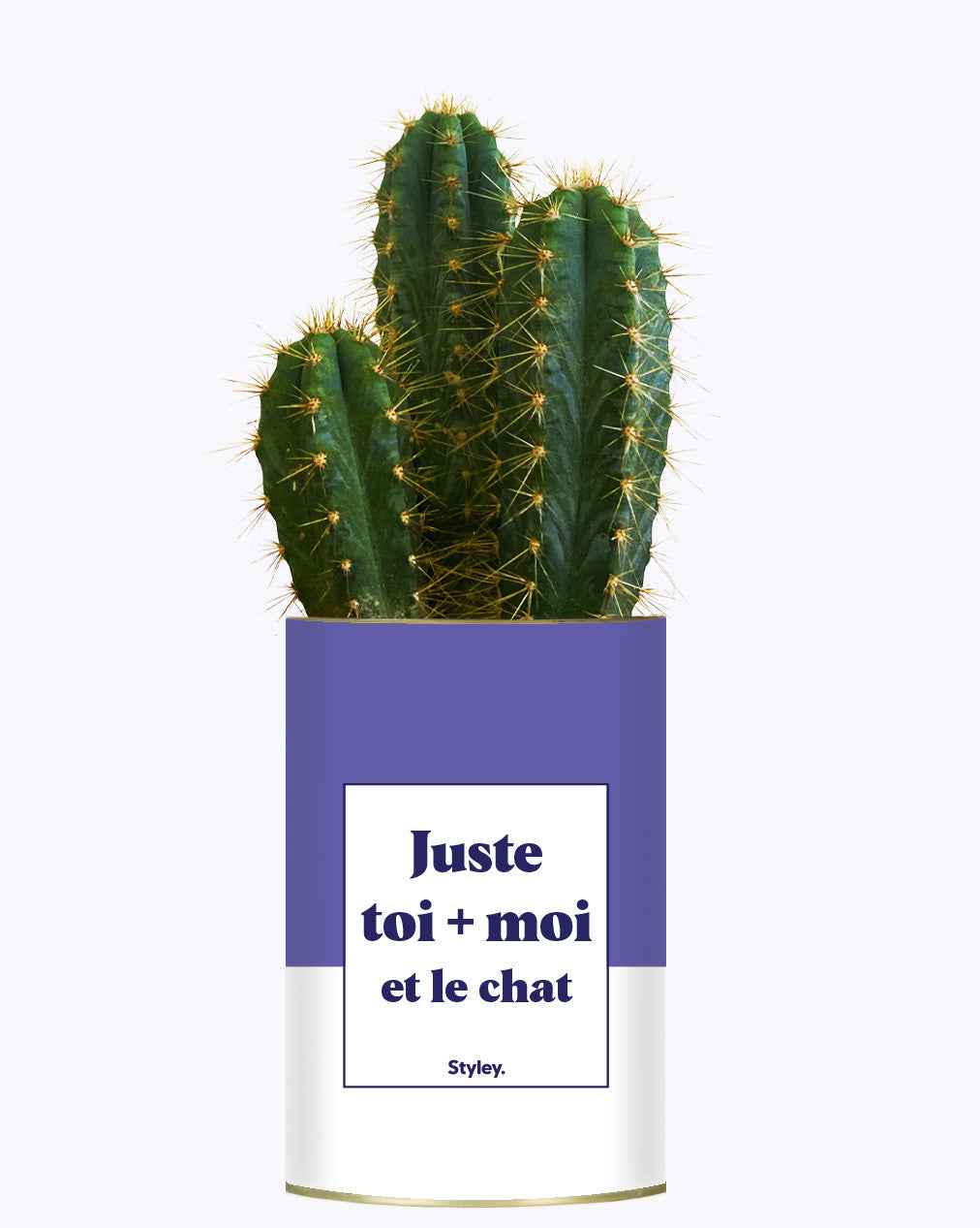 Toi + moi et le chat - Cactus