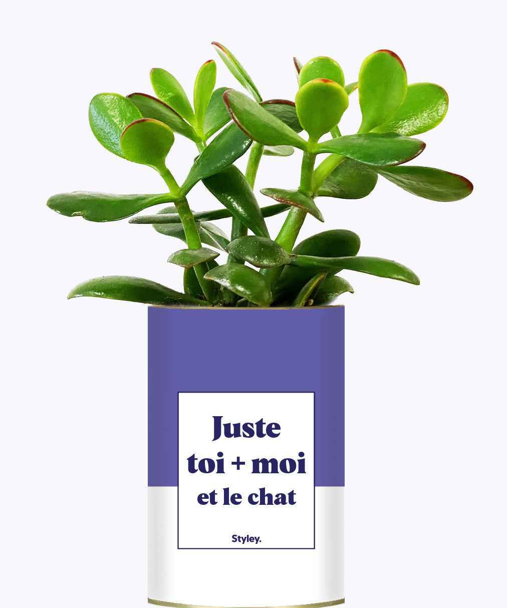 Toi + moi et le chat - Cactus